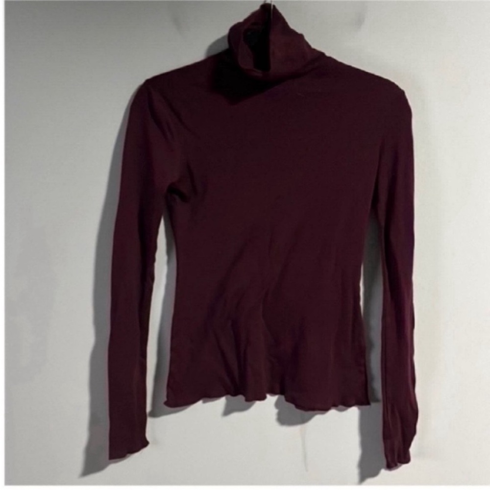Aritzia Babaton Turtleneck Long Sleeve Tee